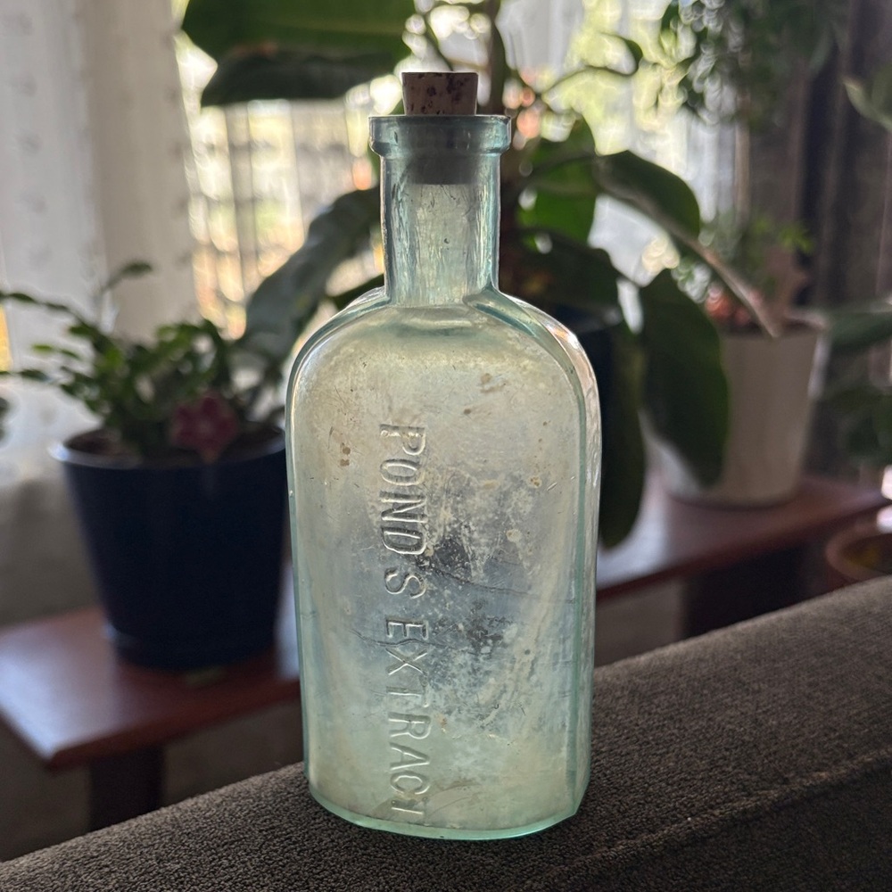 Vintage Glass Bottle Ponds 1846